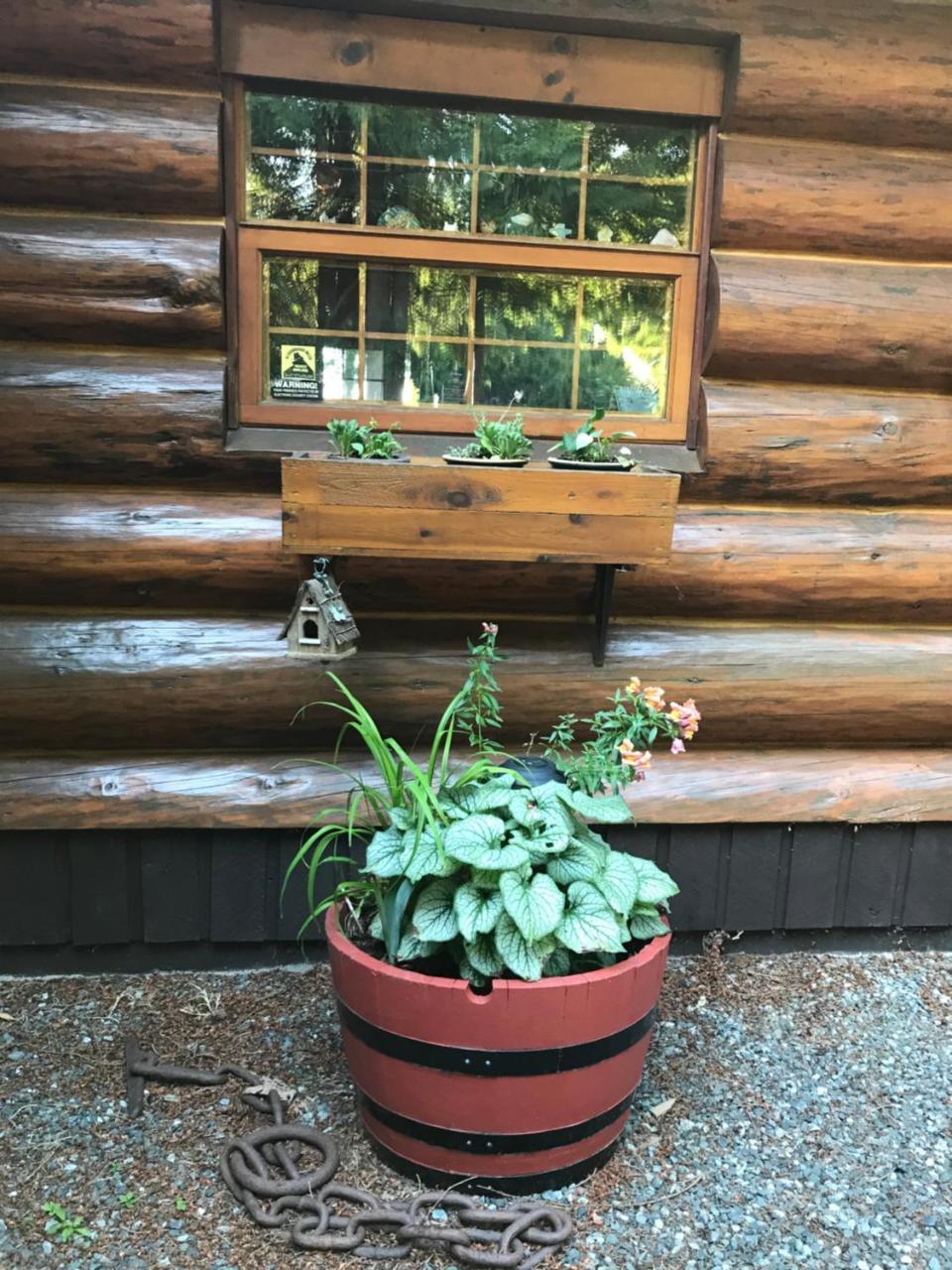 Union Bay Log Home Екстер'єр фото